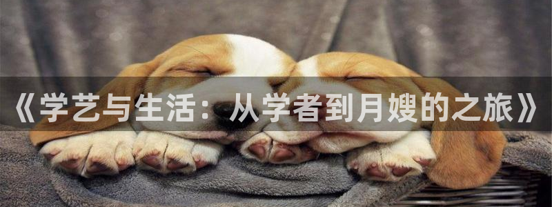 杏悦官方平台是正品吗知乎