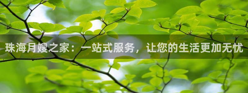 杏悦官网登录入口网址