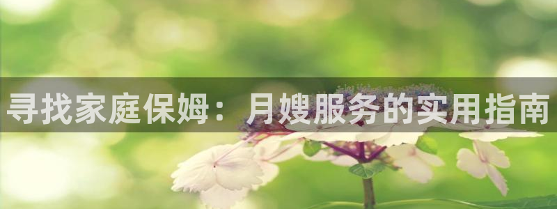 杏悦平台代理怎么赚钱