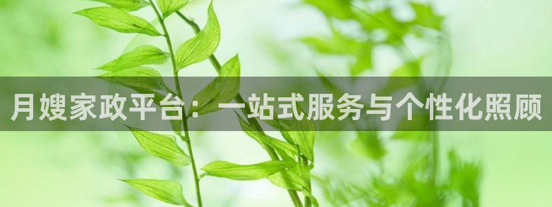 杏悦官网注册信息在哪里找