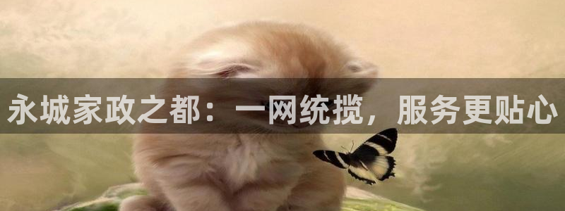 杏悦平台公司介绍