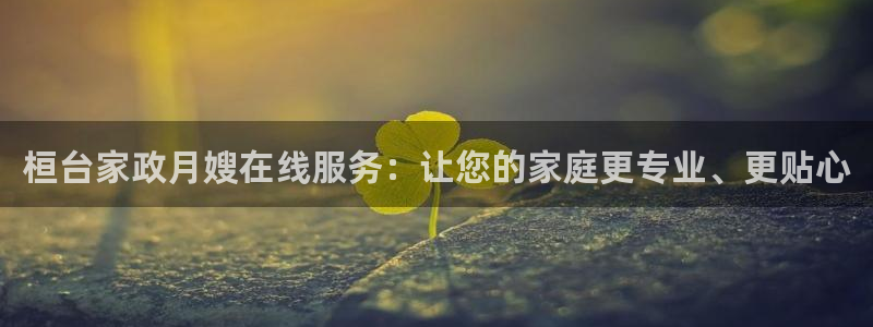 杏悦平台代理怎么做赚钱