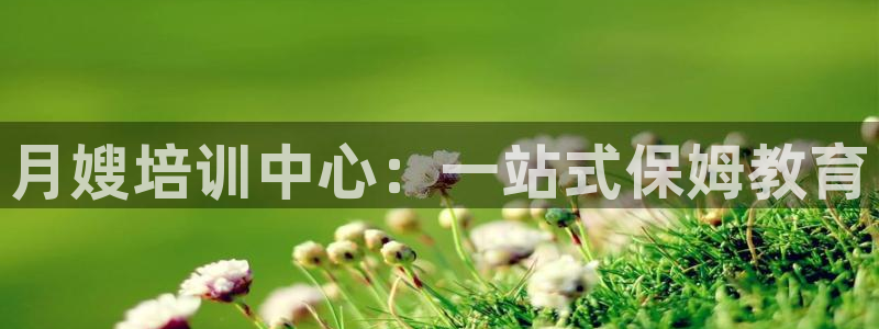 杏悦平台登录网址