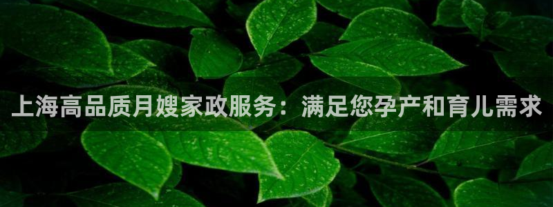 杏悦官网注册信息在哪里查看