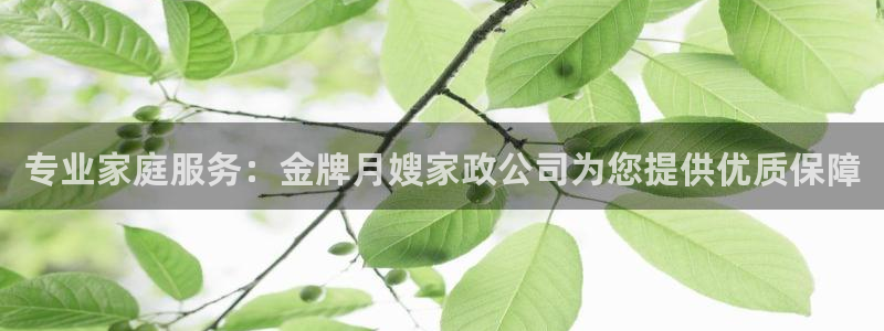 杏悦1登录地址