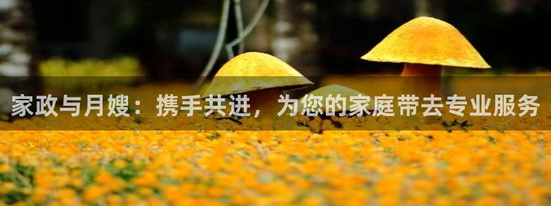 杏悦官网注册信息是什么