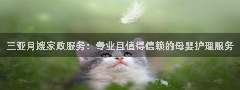 杏悦平台登录网址