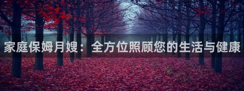 杏悦平台登录入口官网