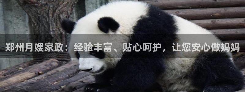 杏悦平台注册要钱吗