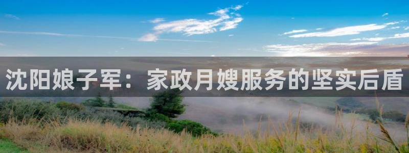 杏悦平台代理怎么样啊