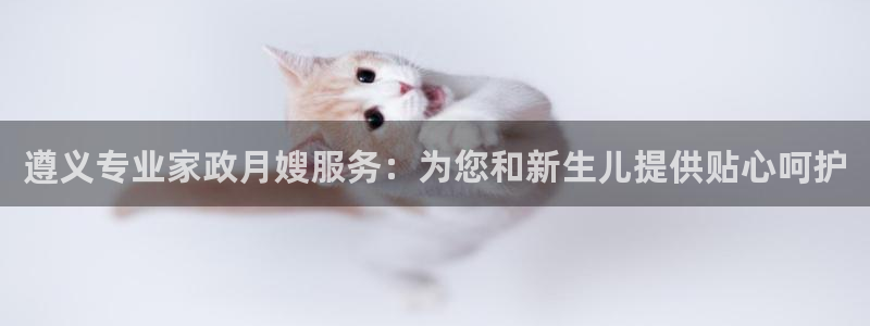 杏悦平台如何注册账号