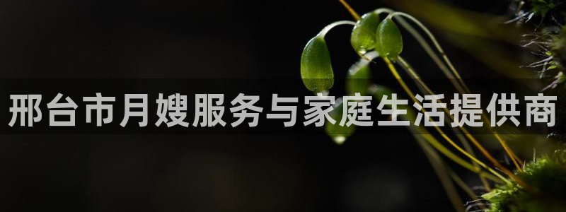 杏悦登录网址