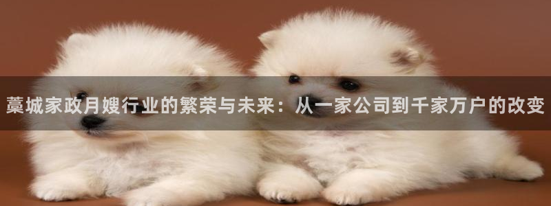 杏悦娱乐注册平台有哪些