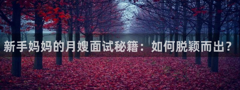 杏悦娱乐是什么