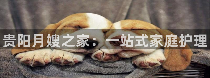 杏悦平台官网注册账号