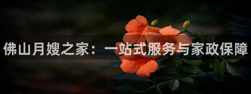 杏悦官网登录入口网址是什么