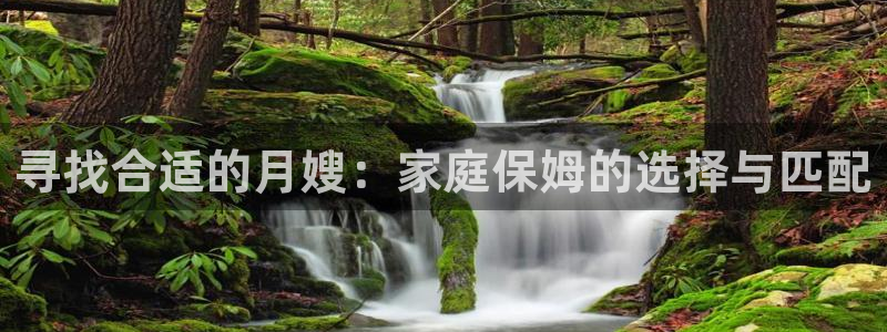 杏悦平台注册流程