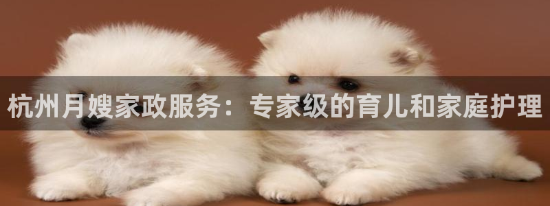 杏悦平台如何注册账号