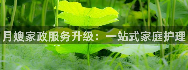 杏悦平台代理怎么做的