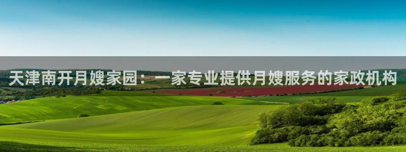 杏悦平台代理怎么做