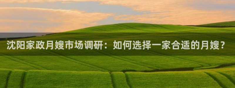 杏悦平台代理怎么赚钱